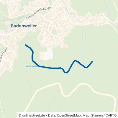 Salzeckweg 79410 Badenweiler 