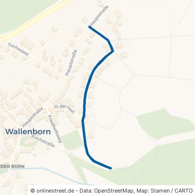 Höhenstraße Wallenborn 