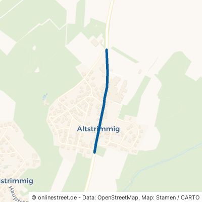 Hunsrückstraße 56858 Altstrimmig 