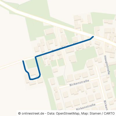 Dammheimer Straße Bornheim 