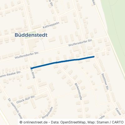 Oststraße 38372 Büddenstedt 