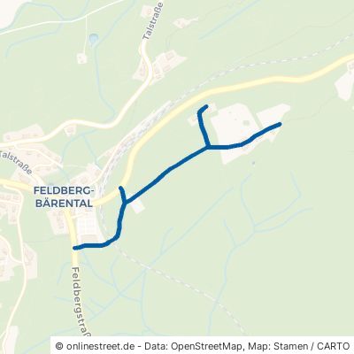 Stephansbühlweg Feldberg (Schwarzwald) 