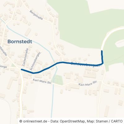 Schlossbergstraße Bornstedt 