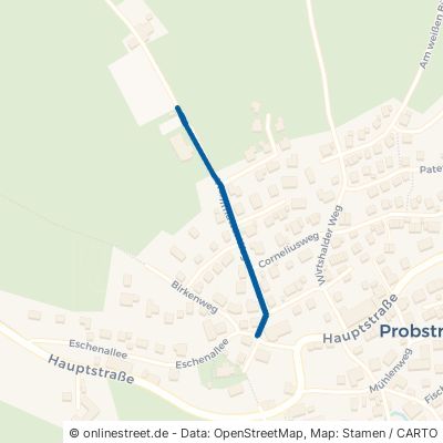 Wohlmutser Weg Dietmannsried Probstried 