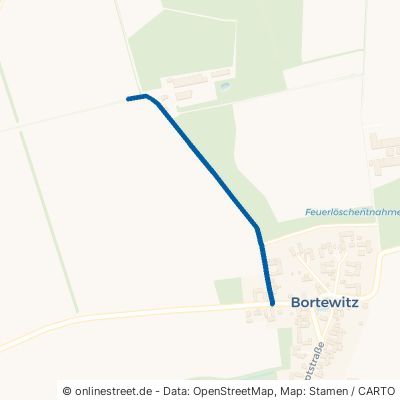 Schildauer Straße Dahlen Bortewitz 