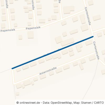 Nelkenstraße 37586 Dassel Sievershausen 