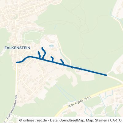 Kronberger Straße Königstein im Taunus Falkenstein 