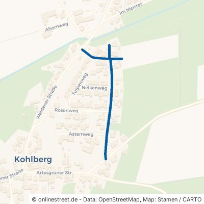 Gladiolenweg Kohlberg 
