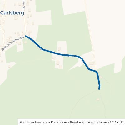Tannenweg Schirgiswalde-Kirschau Carlsberg 
