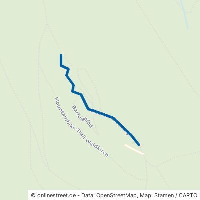 Baumkronenweg Waldkirch 