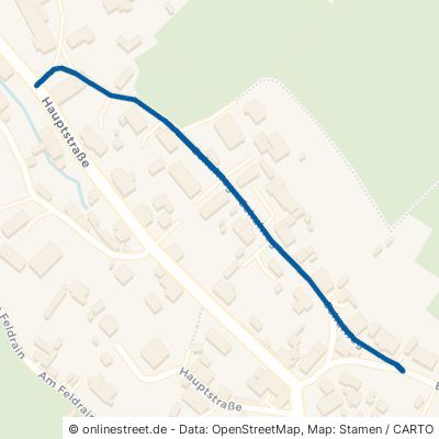 Schulweg Reinhardtsdorf-Schöna 