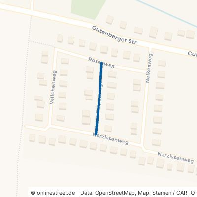 Tulpenweg 06188 Landsberg Oppin 