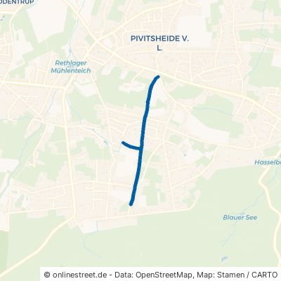 Hermann-Niebuhr-Straße Detmold Pivitsheide 