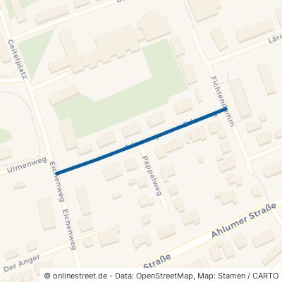 Erlenweg 38302 Wolfenbüttel Stadtgebiet 