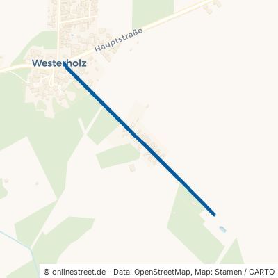 Kirchfeld Wesendorf Westerholz 