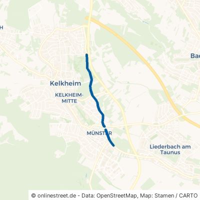 Königsteiner Straße 65779 Kelkheim Kelkheim 