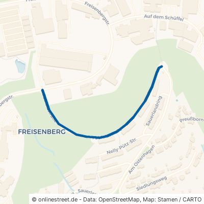 Fabiolastraße Lüdenscheid Freisenberg 