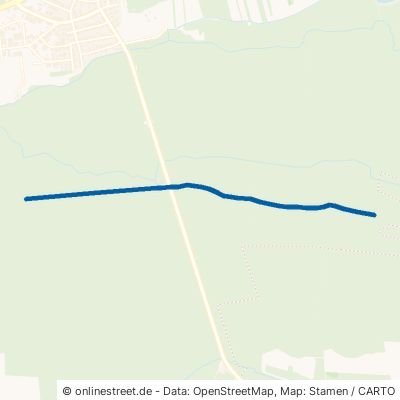 Lichtseeberg-Schneise Mörfelden-Walldorf 