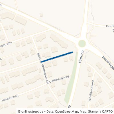 Gabriel-Biel-Straße 72138 Kirchentellinsfurt 