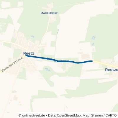 Belziger Straße 14827 Wiesenburg Reetz 