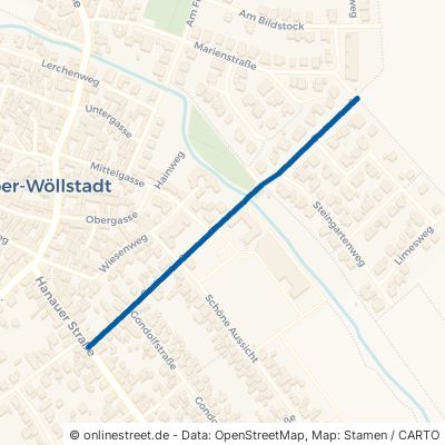 Gartenstraße 61206 Wöllstadt Ober-Wöllstadt 