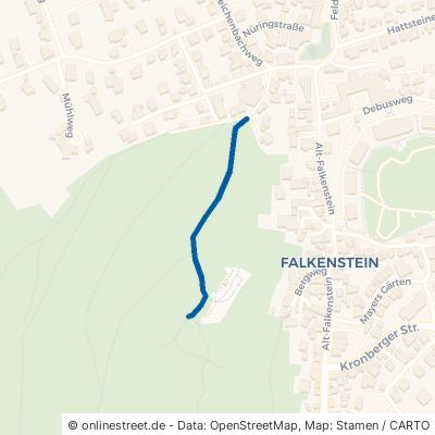 Günther-Boller Weg Königstein im Taunus Falkenstein 
