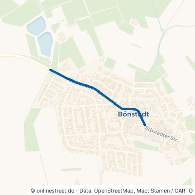 Assenheimer Straße Niddatal Bönstadt 
