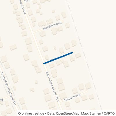 Erikaweg 12529 Schönefeld Großziethen 