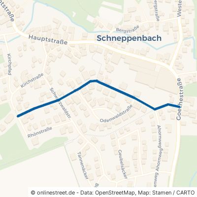 Taunusstraße Schöllkrippen Schneppenbach 