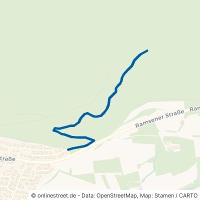 Kiesgrubenweg Gailingen am Hochrhein 