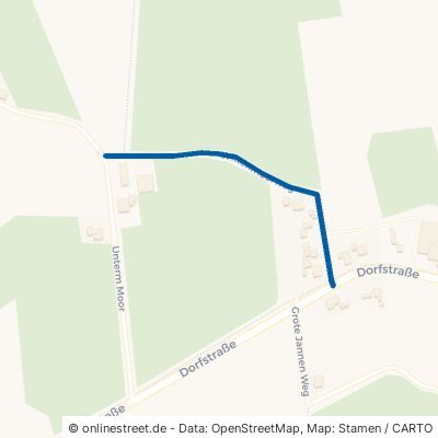 Wittenmoorweg 26849 Filsum Brückenfehn 