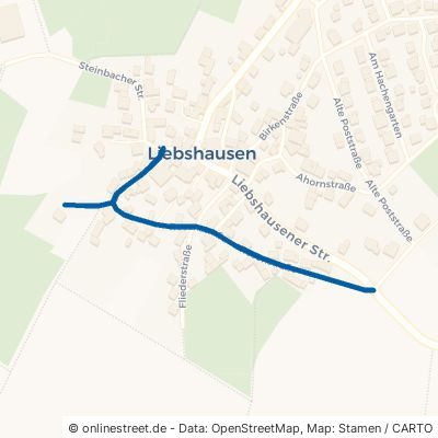 Rosenstraße 55494 Liebshausen 