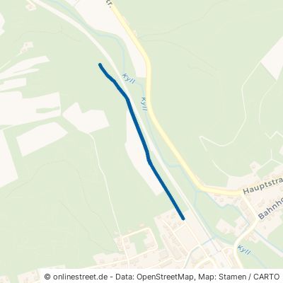 Zu Den Leyen / Kyll-Radweg Lissendorf Birgel 