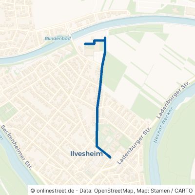 Heddesheimer Straße Ilvesheim 
