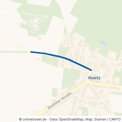 Reppinicher Straße 14827 Wiesenburg Reetz 
