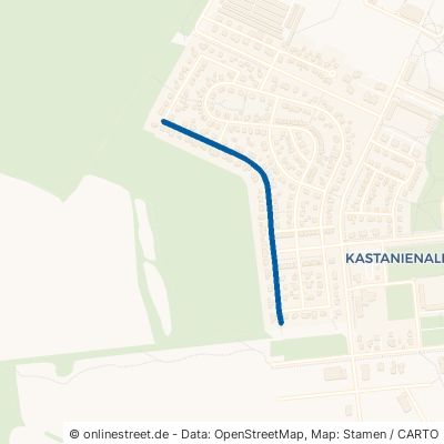 Märkische Straße Schwedt (Oder) Kastanienallee 