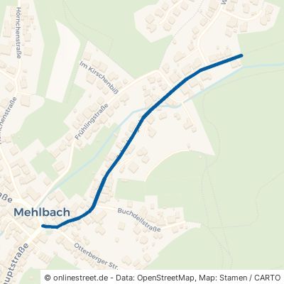 Scheckersgraben Mehlbach 