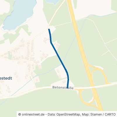 Habichthorster Weg Schwanewede Eggestedt 