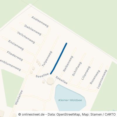 Asternweg Schönebeck Plötzky 
