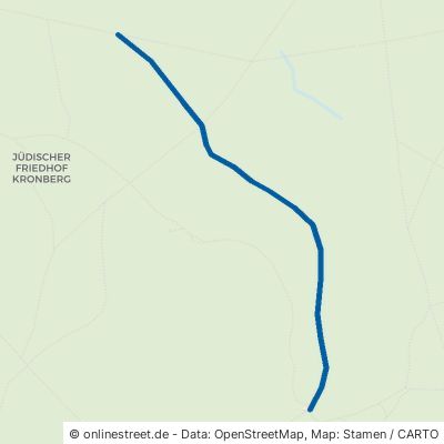 Bürgelplatten-Weg Kronberg im Taunus 