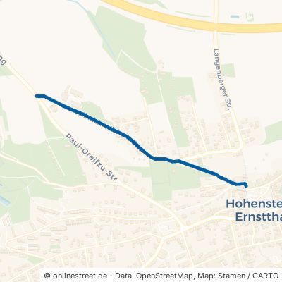 Hinrich-Wichern-Straße 09337 Hohenstein-Ernstthal 