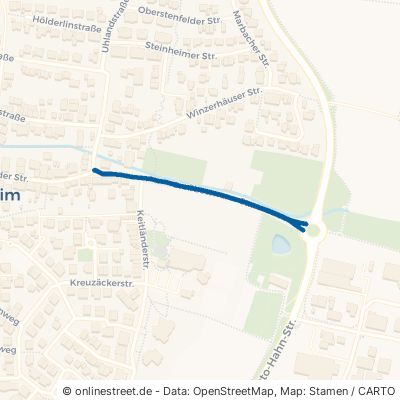 Großbottwarer Straße Besigheim Ottmarsheim 