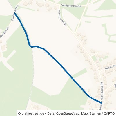 Lönsweg Neuenhaus Veldhausen 