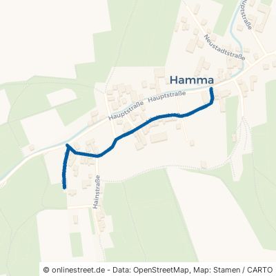 Hinterstraße Heringen (Helme) Hamma 