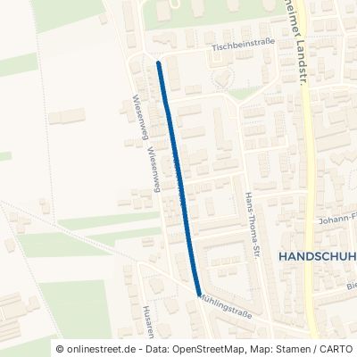 Trübnerstraße 69121 Heidelberg Handschuhsheim Handschuhsheim-West
