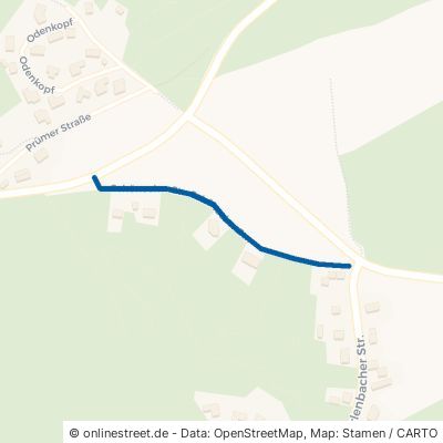 Schönecker Straße 54595 Orlenbach Schloßheck 