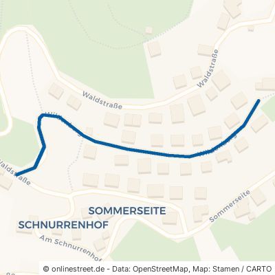 Wildenberg Seebach 