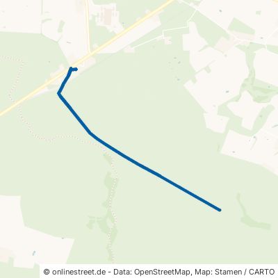 Langer Damm Ribnitz-Damgarten Altheide 