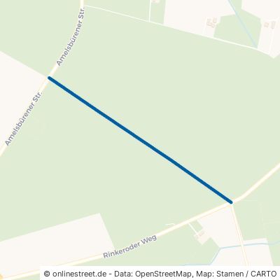 Grüner Weg 59387 Ascheberg Davensberg 