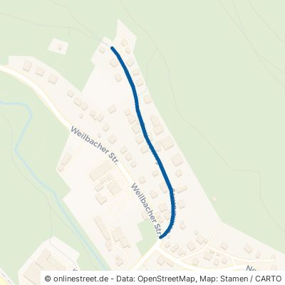 Gotthardsweg 63916 Amorbach 